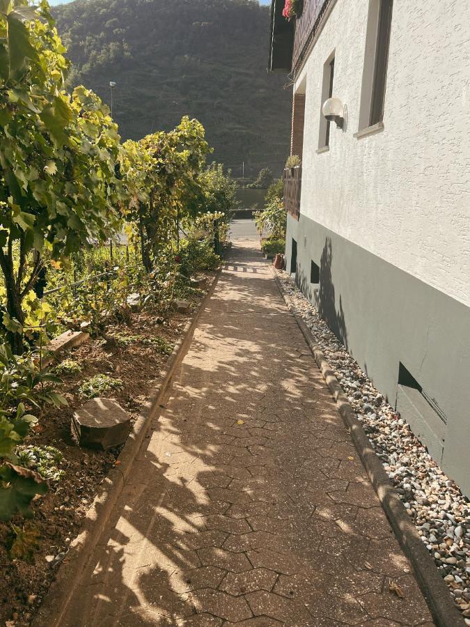 Ferienwohnung Moselflair Mit Direktem Blick Auf Die Mosel Und Weinberge Oberfell Exterior foto